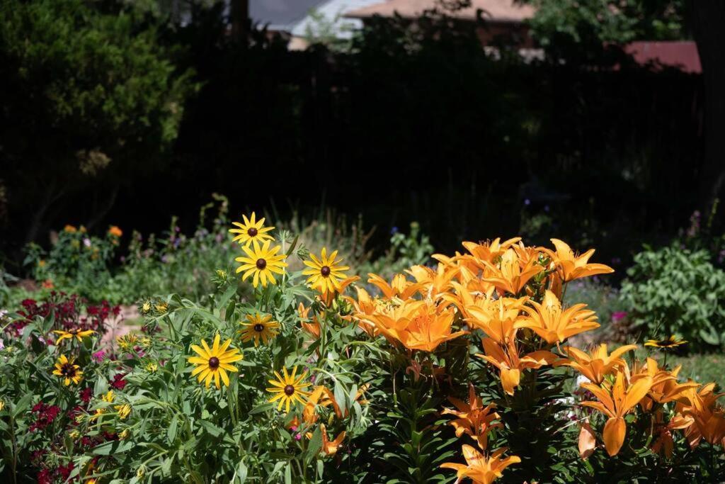 Well-appointed Family In Aurora/denver Colorado Casa vacanze